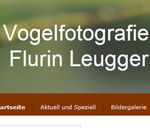 flurinleugger.jimdo.com